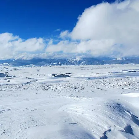 Svalina * Купрес